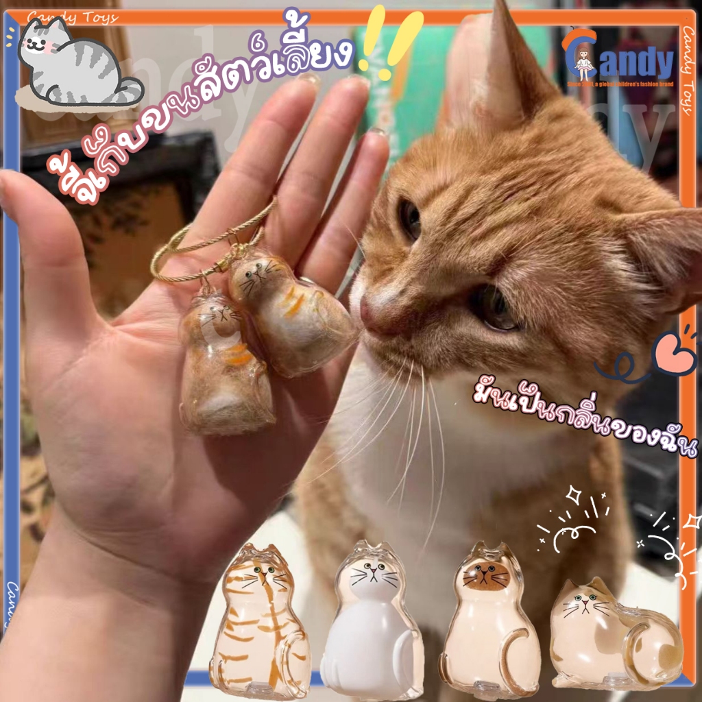 จี้กล่องเก็บขนแมวแบบใสแบบใหม่มีหลากหลายสไตล์ให้เลือกพวงกุญแจจี้แคปซูลเก็บขนแมว