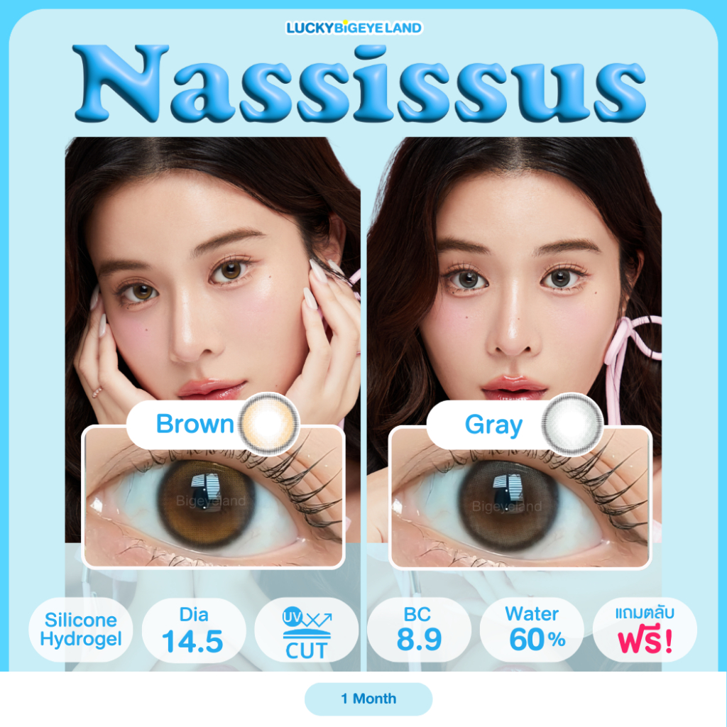 รุ่นเก้า เลนส์ซิลิโคนไฮโดรเจล ⭐️ คอนแทคเลนส์ Nassissus Brown / Gray (Mayalens) ขนาดมินิ 💙 คล้าย Double Tint Olens