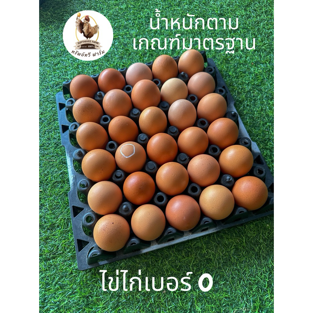 ไข่ไก่ออร์แกนิก เบอร์ 0 ไข่ไก่สดทำความสะอาดทุกลูก ไข่แดงธรรมชาติไข่ขาวเป็นวุ้นสองชั้นไม่เหลว สดใหม่ต่อวัน