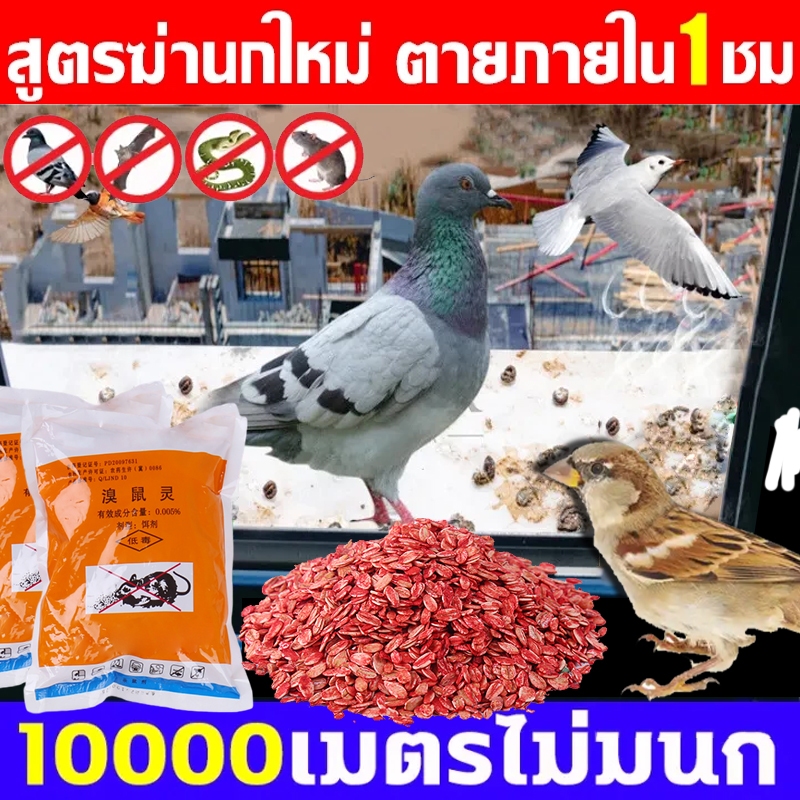 ยาเบื่อ นกพิราบ เหยื่อกำจัดนกพิราบ นกกระจอก นกกระจิบ ยาเบื่อนก สูตรใหม่ 100%ได้ผล  ยาเบื่อนกพิราบ