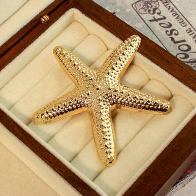 AC001 เข็มกลัดโลหะปลาดาว Starfish พระอาทิตย์