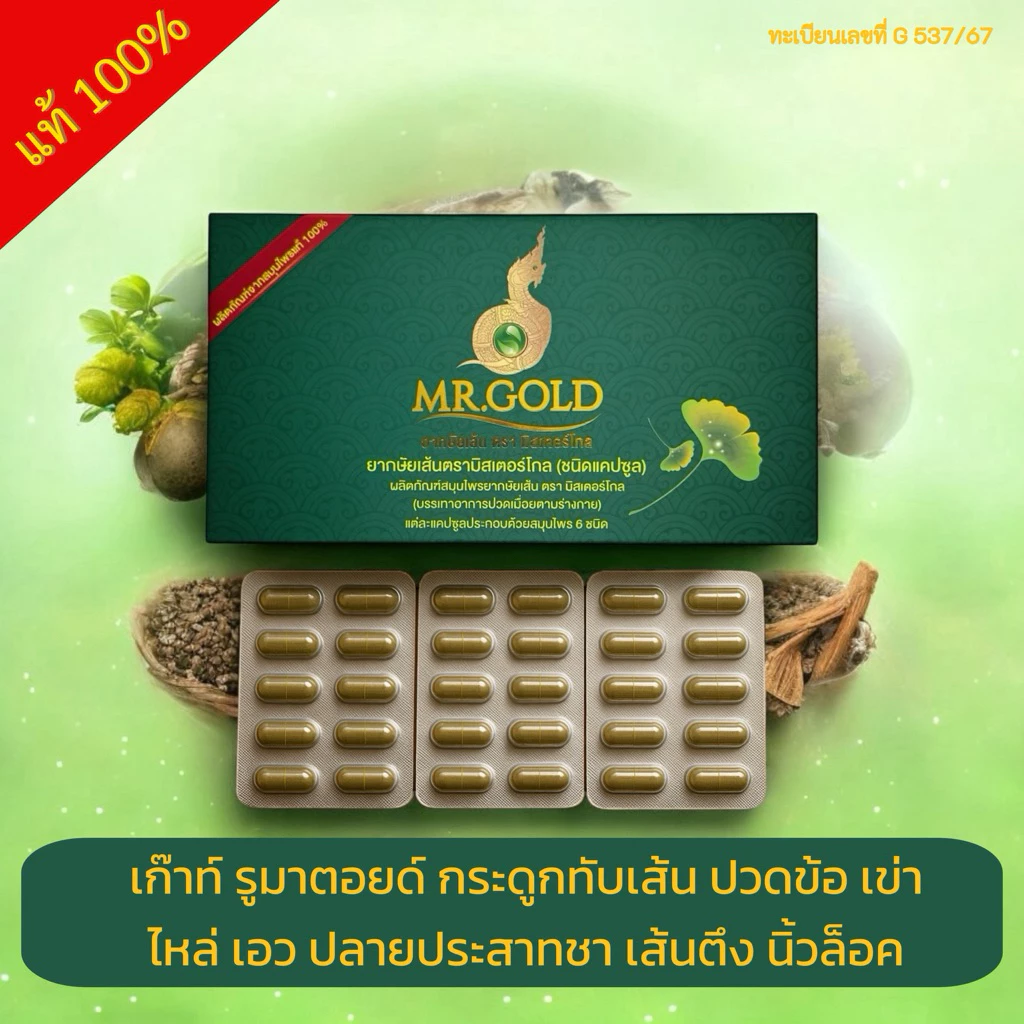 Mr.Gold มิสเตอร์โกล (ของแท้จากบริษัท) สมุนไพรมิสเตอร์โกล แก้ปวด พร้อมส่ง มีเก็บปลายทาง
