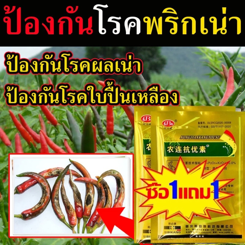 ยาป้องกันโรคพืช ใช้ควบคุมโรคเน่า โรคราน้ำค้าง โรคกุ้งแห้ง ยาแก้พริกใบหงิก ยาฉีดพริกเน่ายาเชื้อราพริก ยาเชื้อราในพริก