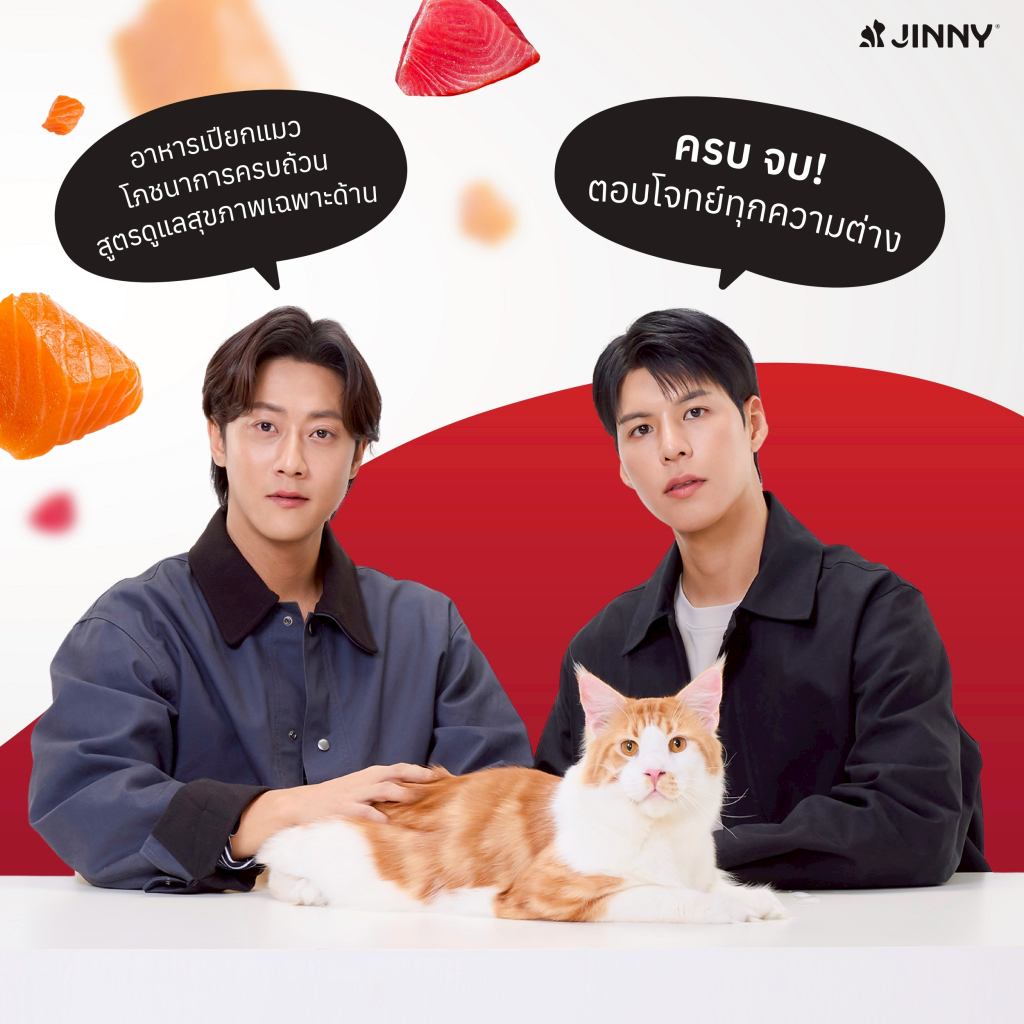 JINNY อาหารเปียกแมว เกรด COMPLETEL AND BALANCE ดูแลสุขภาพ