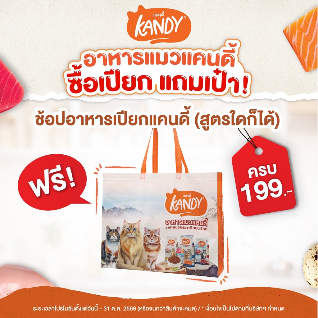 [ ของแถม ] กระเป๋า อาหารแมว Kandy