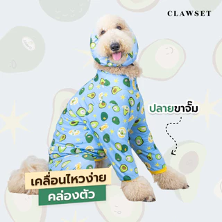 ชุดกันขนร่วง ชุดเก็บขน คอลเลคชั่น Veggies Protection Suit | CLAWSET.BKK