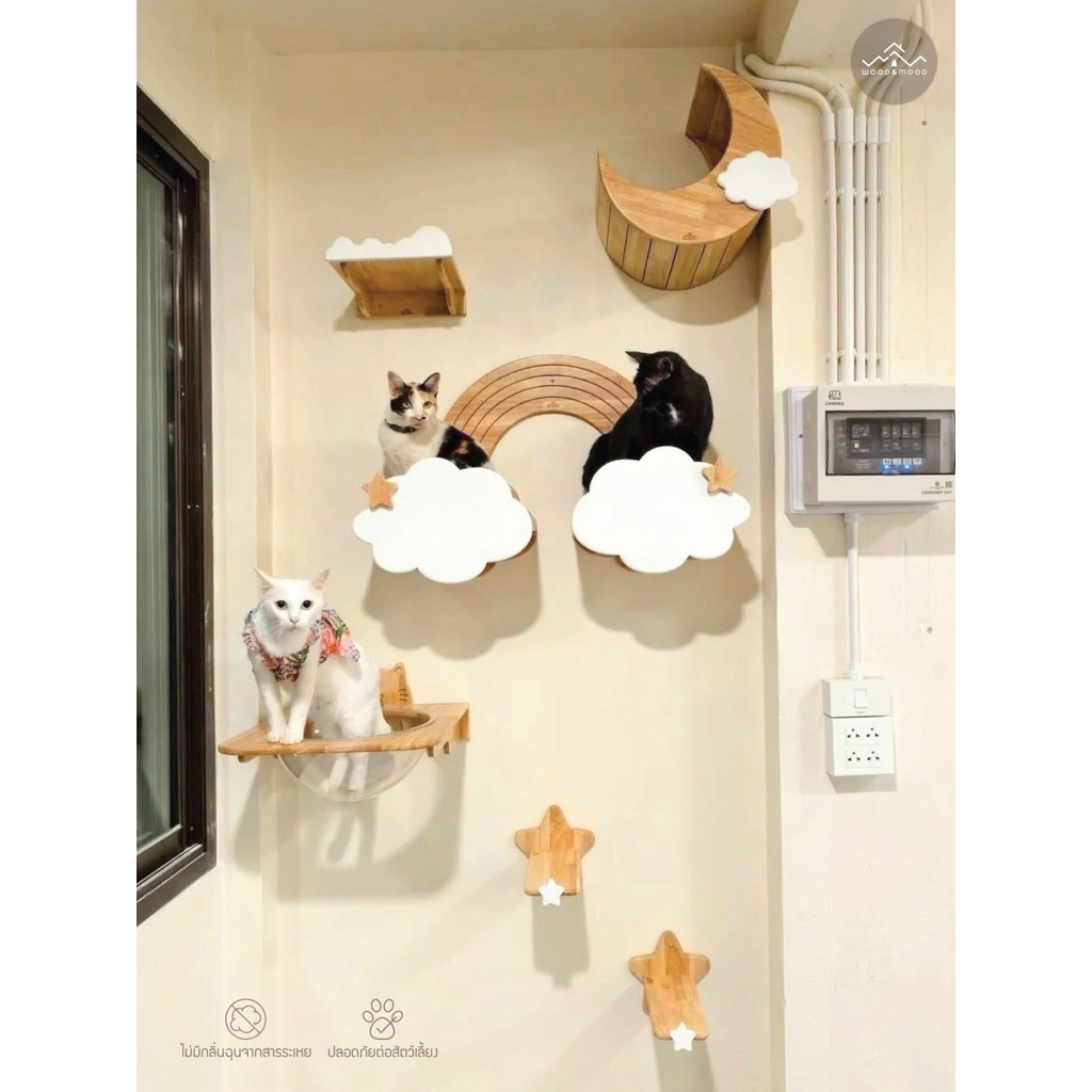 รวม SET กล่องแมวติดผนัง คอนโดแมวติดผนัง ของเล่นแมว [WOOD&MOOD]TH