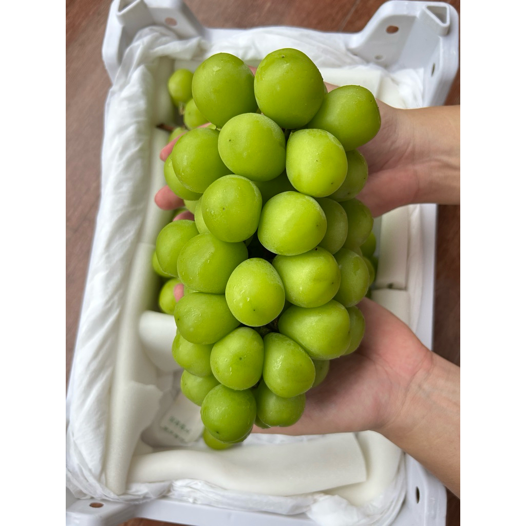 องุ่นไซมัสคัต(shine muscat)