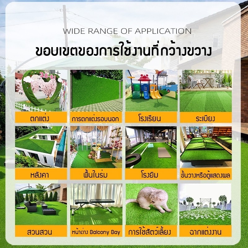 รูปภาพ 7