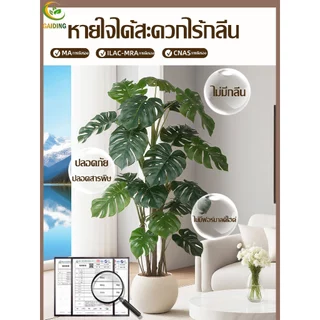 GAIDING【อัตราการซื้อคืน 99.9%ต้นไม้ปลอม-ประดิษฐ์ ต้นไม้ปลอมใหญ่ สูง120/150/180ซม ไม่มีกลิ่นแปลกๆ ไม่จำเป็นต้องบำรุงรักษา