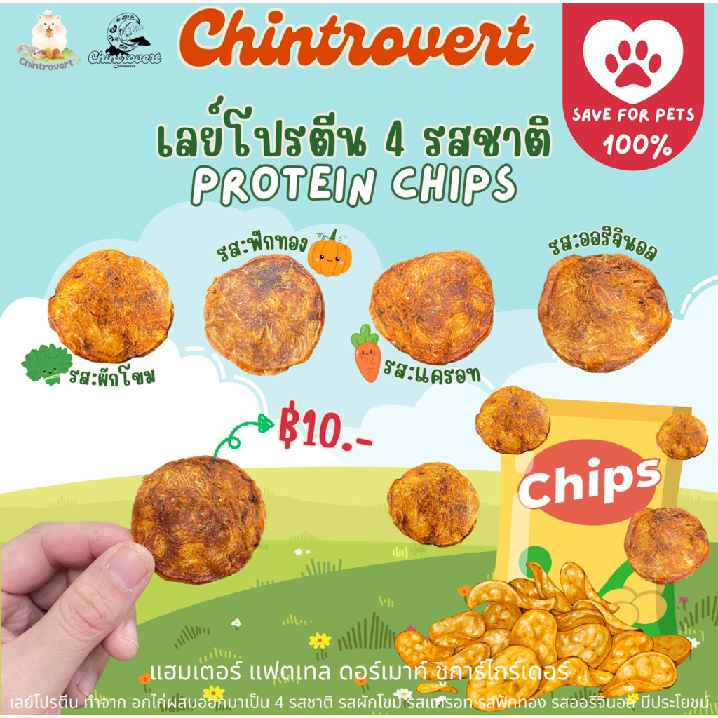 Chintrovert ✨| Chips Protein เลย์โปรตีน 4 รสชาติ | แฮมเตอร์ แฟตเทล ดอร์เมาท์ ดัมโบ้แรท