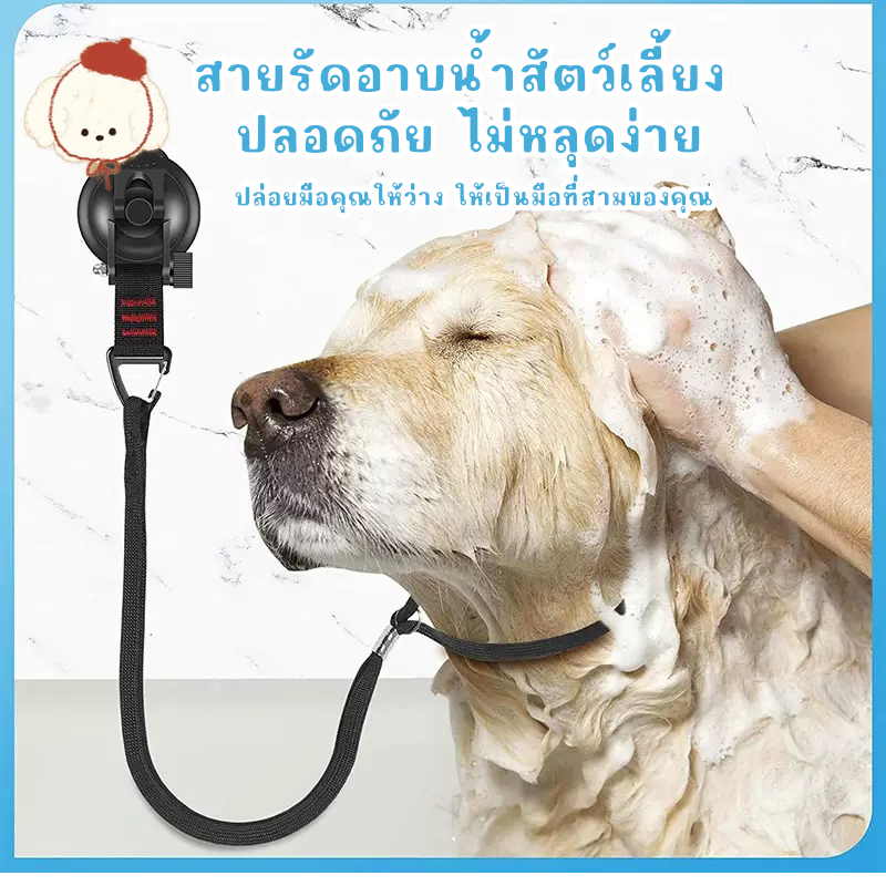 STOCK สายจูงสัตว์เลี้ยง อาบน้ำแมว-สุนัข ใช้กับโต๊ะกรูมมิ่ง ปลอดภัย พร้อมห่วงล็อค