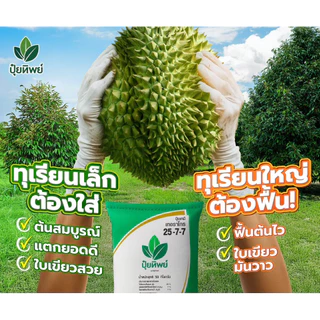 (แบ่งขาย 1 กก.)ปุ๋ยทิพย์ 25-7-7+1MgO 1 kg เร่งต้น เร่งใบเขียว