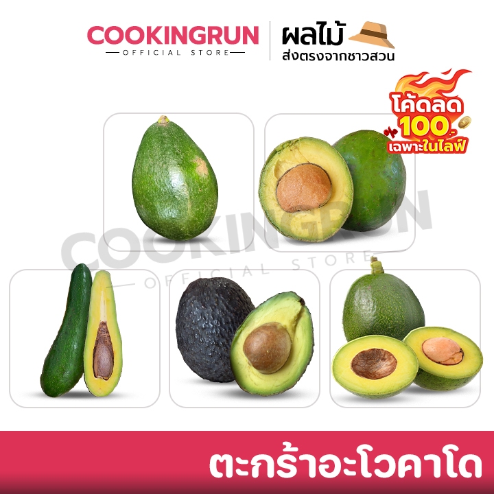🚚ส่งฟรี/มีไลฟ์🚚 🥑ตะกร้าอะโวคาโด 🥑 034 / Booth7 / hass / พื้นเมือง  สดใหม่ ส่งตรงจากสวน เกรดนำเข้า cookingrun 🚚