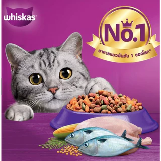 Whiskas วิสกัส อาหารเม็ดสำหรับแมวโต 20 kg.