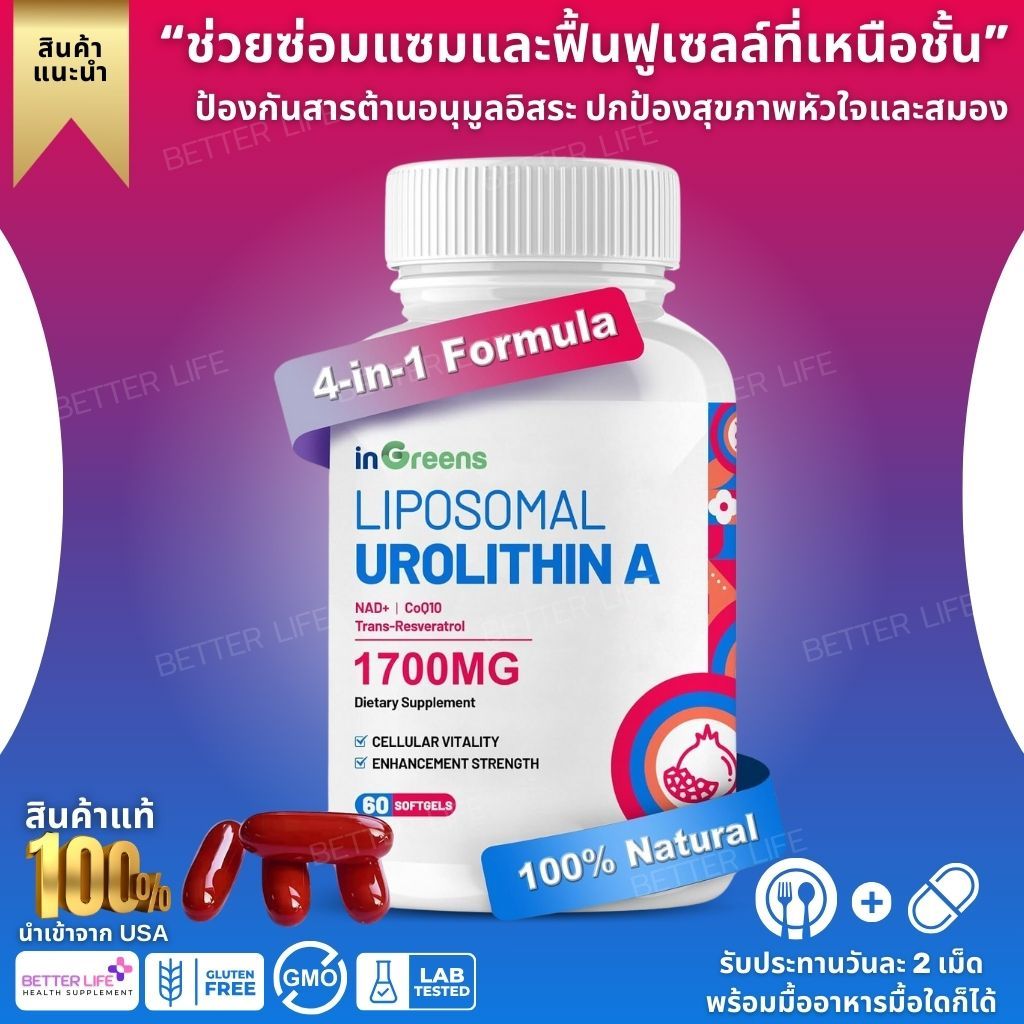 inGreens Liposomal Urolithin A Supplement - 1700mg Per Serving (60 Softgels) (No.3721)