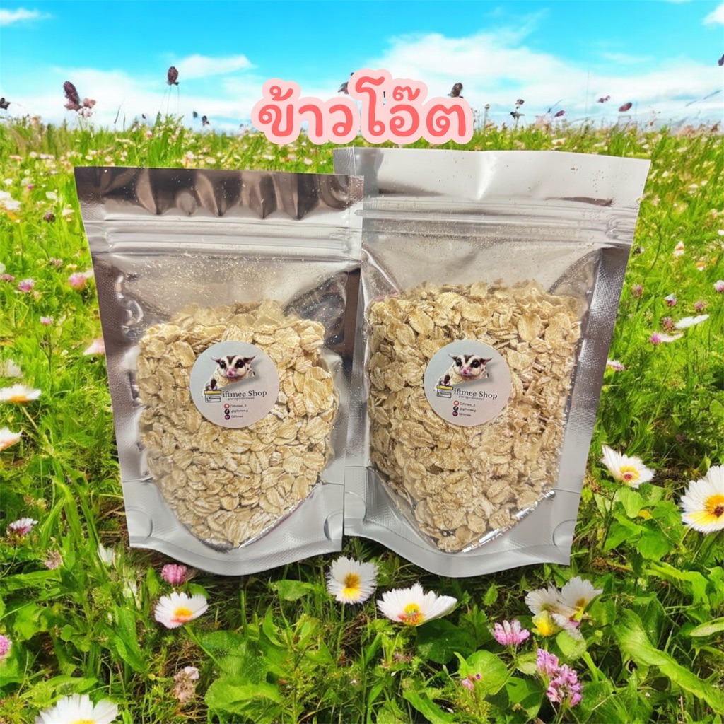 ข้าวโอ๊ต ข้าวธัญพืช อาหารสัตว์เลี้ยงฟันแทะ ชูการ์ไกลเดอร์ กระรอกแฮมเตอร์
