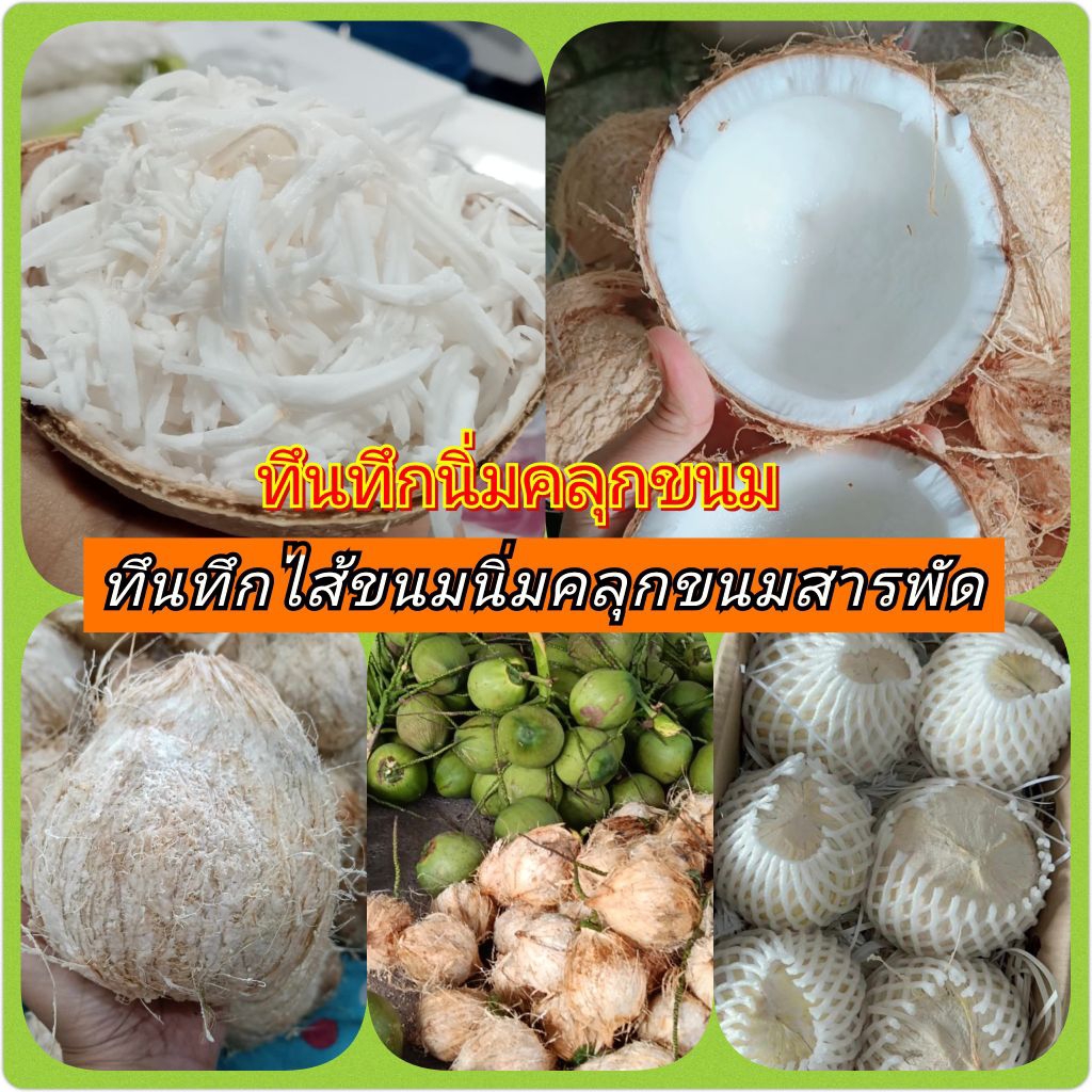ทึนทึกนิ่ม{ชุด6ลูก}เหมาะกับการคลุกขนมเนื้อนุ่มหอมหวานมันเนื้อไม่สาก