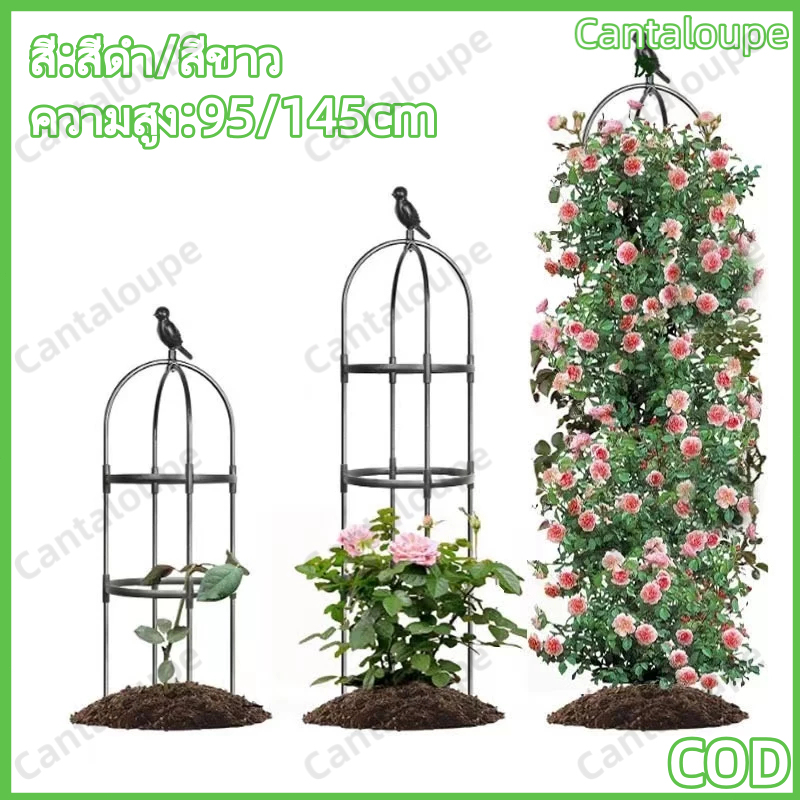 95/145cm*28cm ทนทาน โครงกุหลาบ กันสนิม ซุ้มกุหลาบ โครงกุหลาบเลื้อย ซุ้มไม้เลื้อย