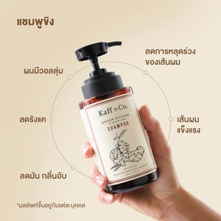 [2 ชิ้นเก็บโค้ดลดเพิ่ม] Kaff & Co. แชมพูสำหรับผมมัน ผมลีบแบน มีกลิ่นอับ ลดผมร่วง แชมพูสารสกัดเหง้าขิงและน้ำมันมะกรูด