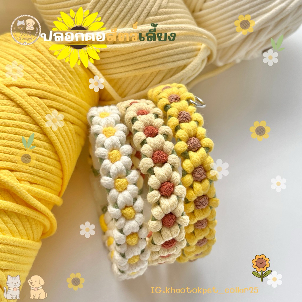 Sunny Bloom Set ปลอกคอเชือกถัก ปลอกคอเปล่าไม่มีจี้ ปลอกคอสัตว์เลี้ยง