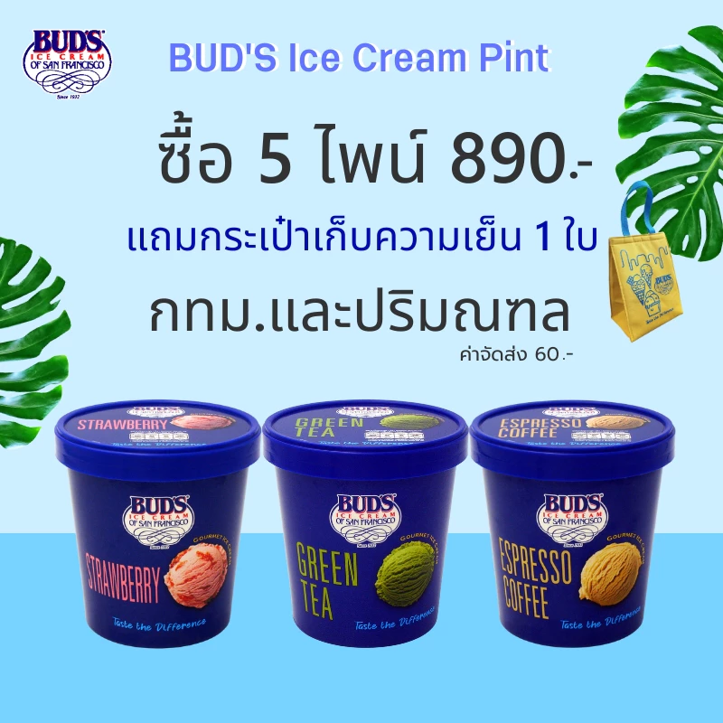 Set 5 ไพน์ กทม-ปริมณฑล เพียง 890 บาท แถมกระเป๋าเก็บความเย็น 1 ใบ