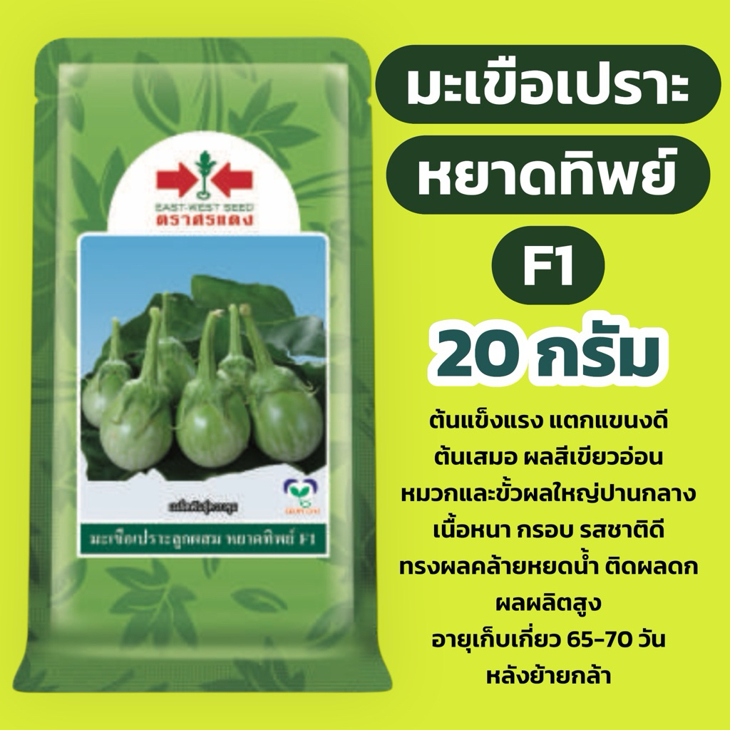 เมล็ดมะเขือเปราะ F1 หยาดทิพย์ 20 กรัม ศรแดง