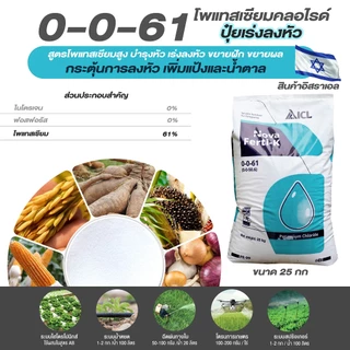ปุ๋ยเกล็ด 0-0-61 ไฮฟ่า จากอิสราเอล ขนาด 25 กก โพแทสเซียมคลอไรด์ เร่งแป้ง เร่งลงหัว เพิ่่มน้ำหนัก