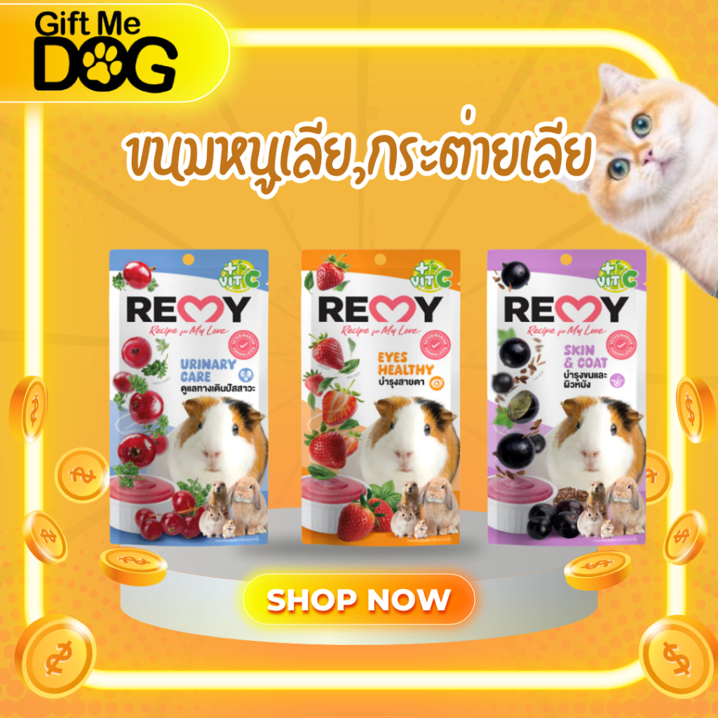 REMY RodentTreat เรมี่ขนมเลียสำหรับกระต่ายและสัตว์ฟันแทะแฮมเตอร์/ชูก้าไกเดอร์/แกสบี้