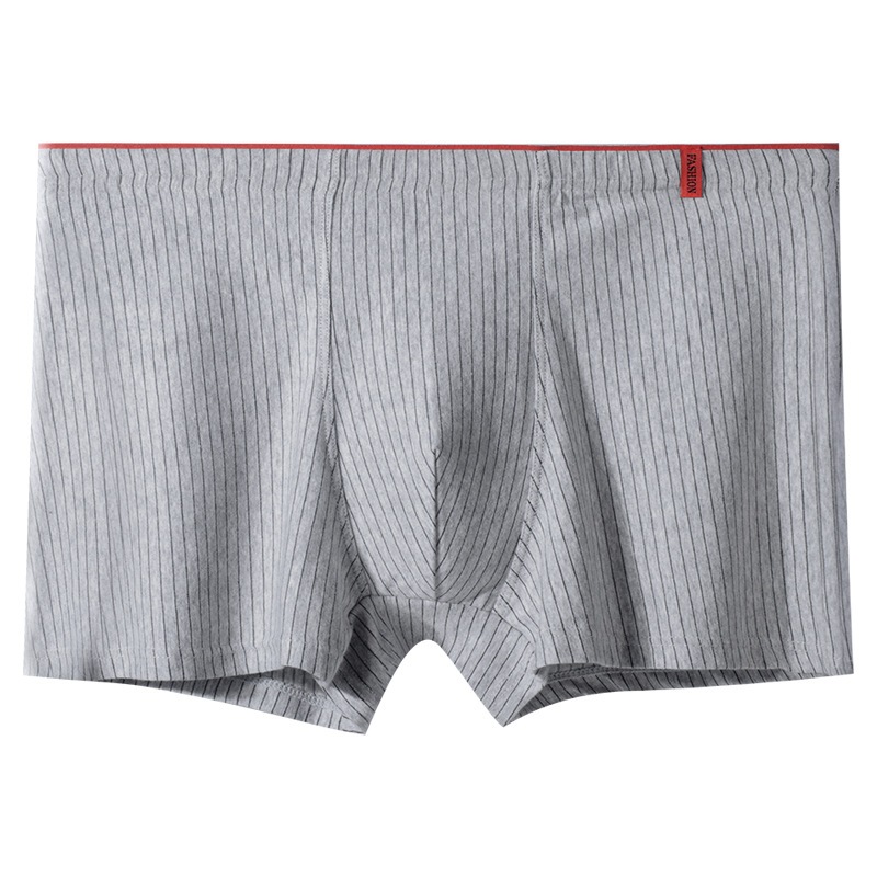 รูปภาพ 8