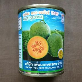 เมล่อนพอทออเร้นจ์ ที1957 20g เพื่อนเกษตรกร ตราดอกแดง ใหม่!! เนื้อสีส้ม ผิวตาข่าย ฉ่ำนุ่ม หวานสูง(พอท ออเร้นจ์) ราคา ถูกที่สุด ดีลบีเคเค แกลเลอรีภาพที่ 3