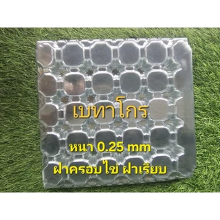 ฝาครอบไข่ พลาสติก เบอร์0-4 พร้อมส่ง