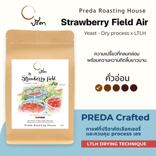 Strawberry field Air (เมล็ดกาแฟ LTLH คั่วอ่อน Light Roast Specialty กาแฟสตรอเบอรี่ รสนุ่มนวล ปรีดา)