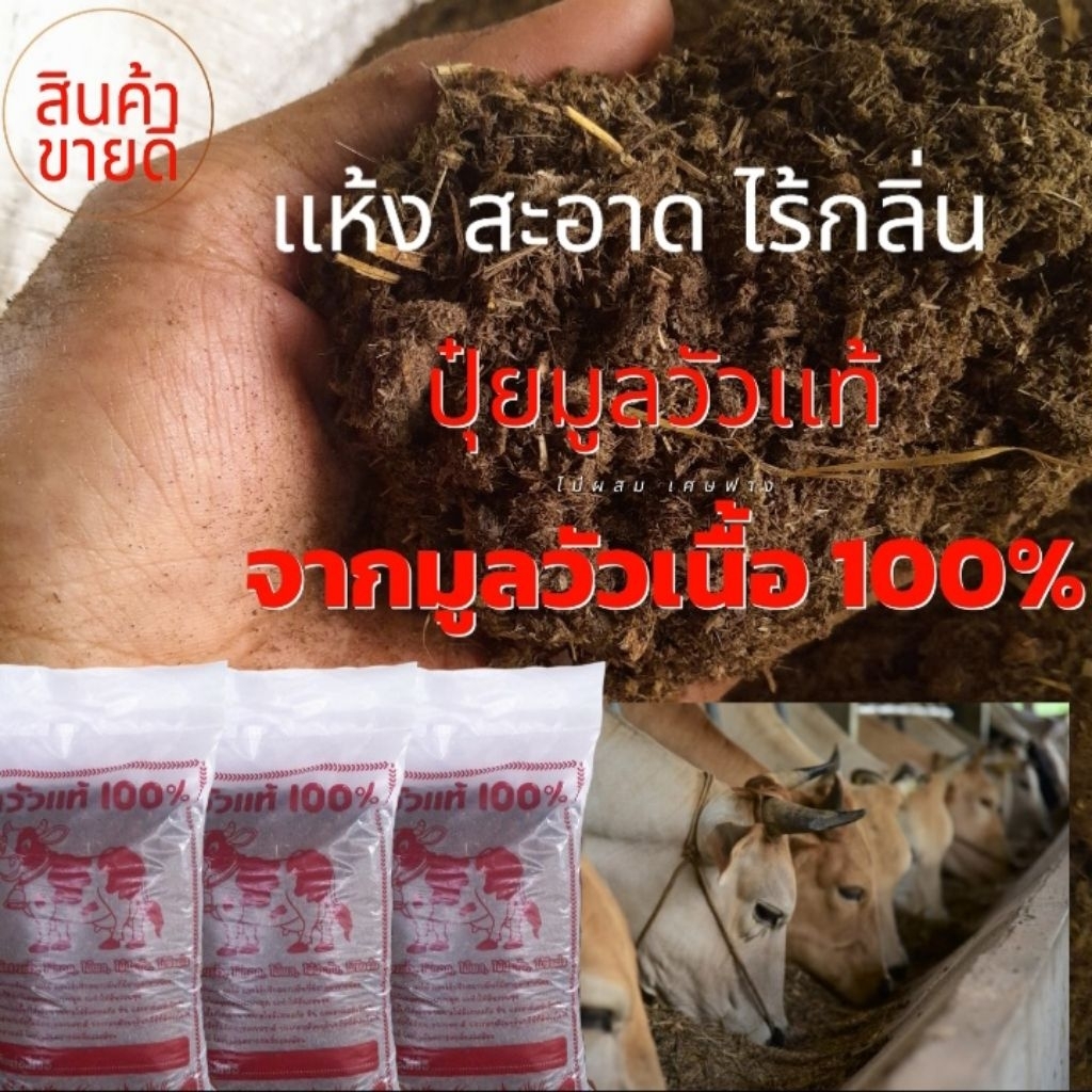 ปุ๋คอกคัดเศษฟาง แห้งสนิทไม่มีกลิ่น พร้อมใช้