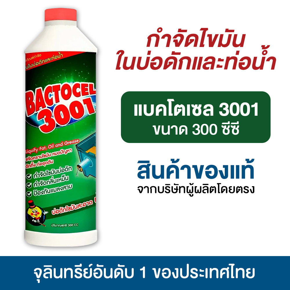 แบคโตเซล 3001 300cc จุลินทรีย์ ย่อยไขมันอ่างล้างจาน ดับกลิ่นเหม็นถังดักไขมัน บ่อดักไขมัน บ่อดัก