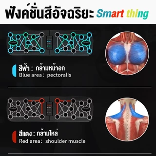 SA superace กระดานวิดพื้นกันลื่นแบบมืออาชีพ ป้องกันข้อมือ อุปกรณ์ฝึกกล้ามเนื้อหน้าอกที่บ้าน เหมาะสำหรับผู้ชายและผู้หญิง
