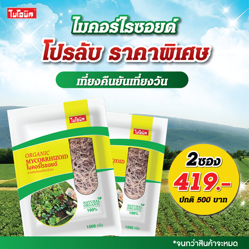 2 ชิ้น Bionic ไมคอร์ไรซา 1000กรัม* เร่งราก เพิ่มความแข็งแรงราก พืชโตไว เร่งผล ป้องกันโรคพืช ไบโอนิค เชื้อราไมคอร์ไรซา