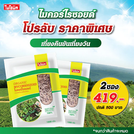 2 ชิ้น Bionic ไมคอร์ไรซา 1000กรัม* เร่งราก เพิ่มความแข็งแรงราก พืชโตไว เร่งผล ป้องกันโรคพืช ไบโอนิค เชื้อราไมคอร์ไรซา