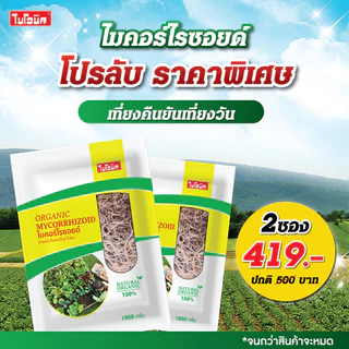 2 ชิ้น Bionic ไมคอร์ไรซา 1000กรัม* เร่งราก เพิ่มความแข็งแรงราก พืชโตไว เร่งผล ป้องกันโรคพืช ไบโอนิค เชื้อราไมคอร์ไรซา