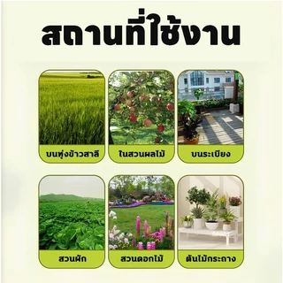 🦜ไม่มีนกภายในรัศมี 1000 เมตรครับ🦜SKy ยากำจัดนกพิราบ ไล่นก ก้อนไล่นกพิราบ ก้อนไล่นกพิราป ไล่นกพิราบถาวร ก้อนไฟป่าไล่นก