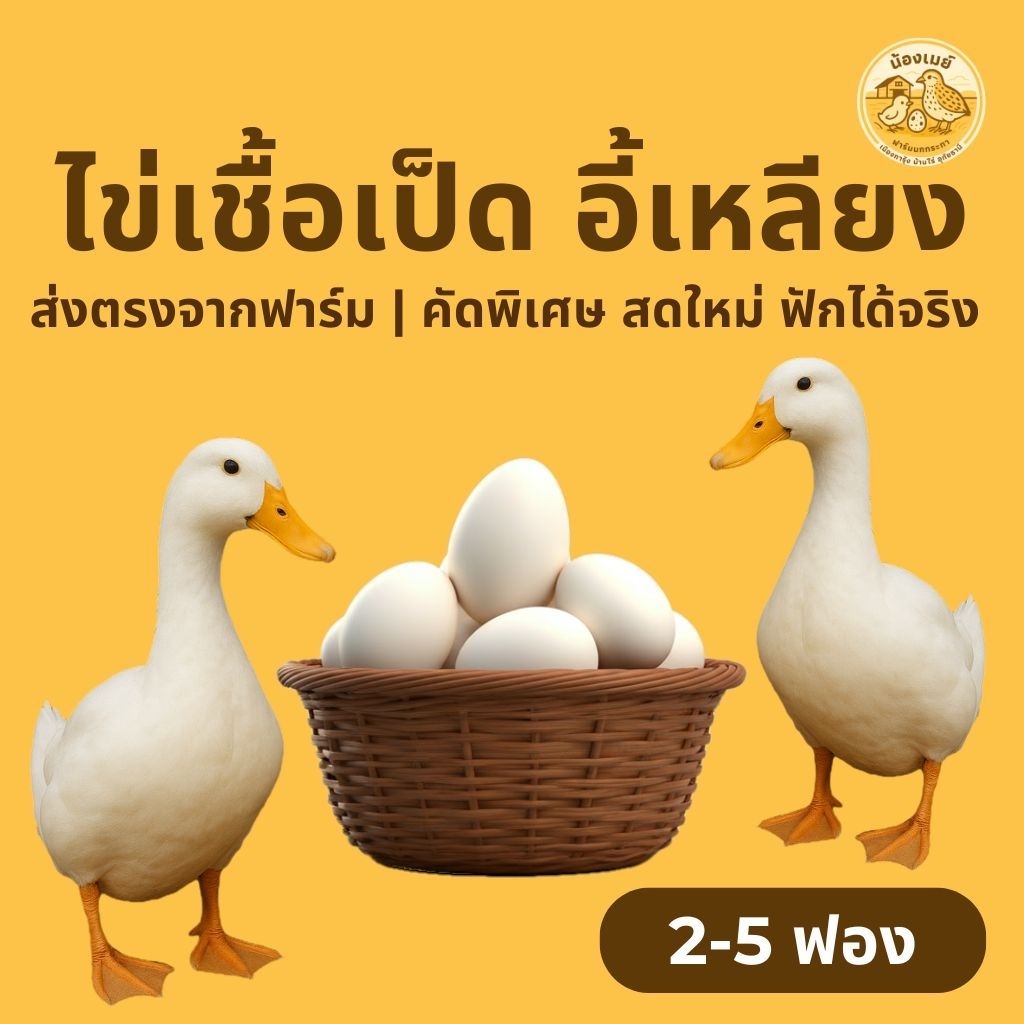ไข่เชื้อเป็ดอี้เหลียง พร้อมส่ง เก็บสดใหม่ทุกวัน