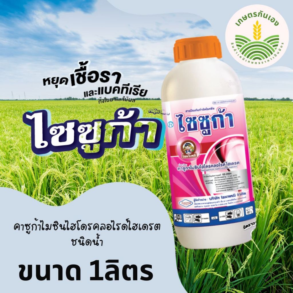 ไซซูก้า 1ลิตร คาซูก้ามัยซิน ป้องกันกำจัดโรคพืชที่เกิดจากเชื้อราและแบคทีเรีย