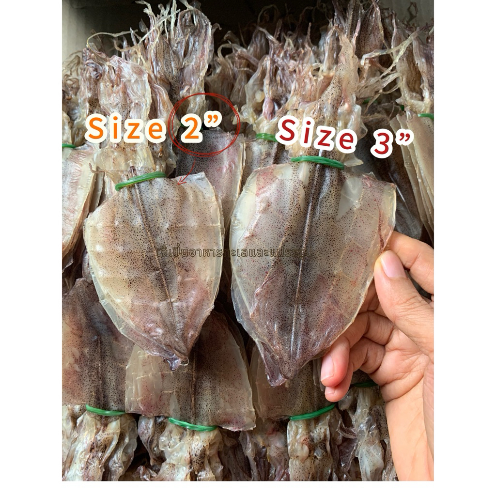 หมึกหนังแห้งสวย Size 2 -3 นิ้ว เป็นหมึกกล้วยสดเรือไดร์ ทางร้านทำเอง