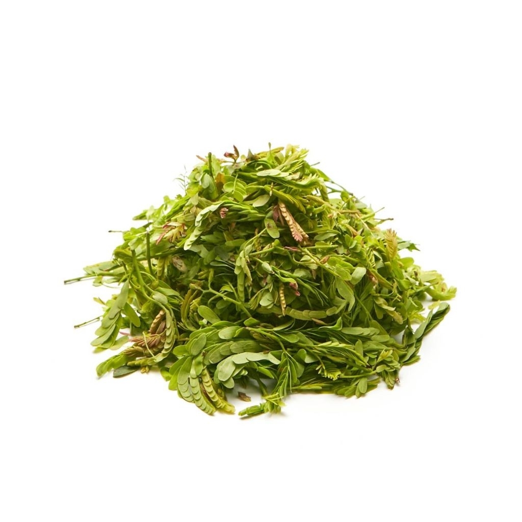 ใบมะขามอ่อน ยอดมะขามอ่อน ออร์แกนิก100% เก็บสดใหม่ทุกวันจากไร่