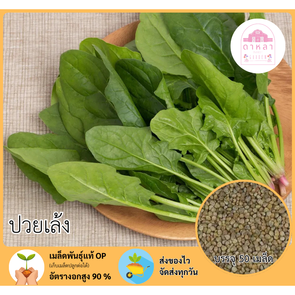 ปวยเล้ง บรรจุ 50 เมล็ด