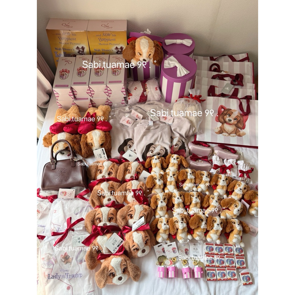 พร้อมส่ง 🧸 รวมน้องLady 🐕