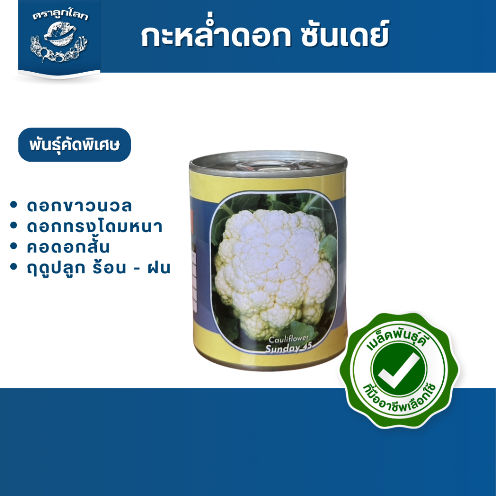 ตราลูกโลก เมล็ดกะหล่ำดอก ซันเดย์ 45 วัน Cauliflower เมล็ดพันธุ์ผัก ผักสวนครัว ผักซอง ลูกโลก