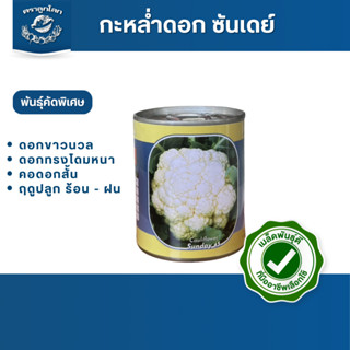 ตราลูกโลก เมล็ดกะหล่ำดอก ซันเดย์ 45 วัน Cauliflower เมล็ดพัน…