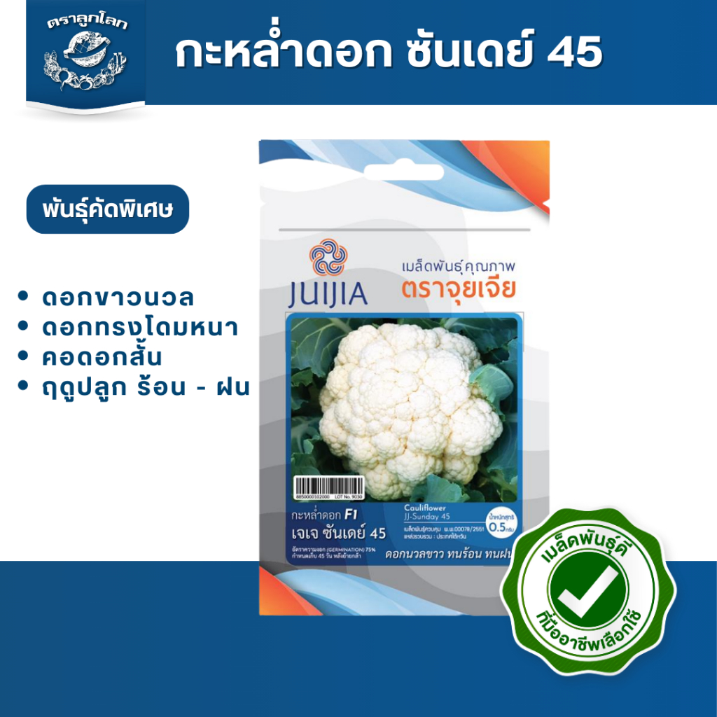 ตราลูกโลก เมล็ดกะหล่ำดอกF1เจเจ ซันเดย์  Cauliflower เมล็ดพันธุ์ผัก ผักสวนครัว ผักซอง ลูกโลก
