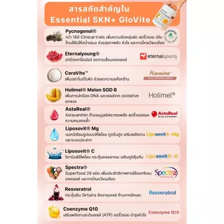 Essential SKN+ GloVite Mixed Berry Plant Protein โปรตีนพืช รสเบอร์รีรวม 1 กระปุก 900 กรัม